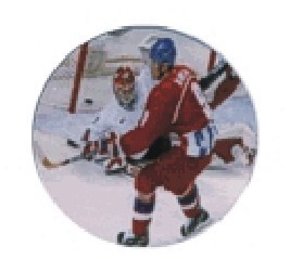 Bauer logotyp barevný LT 006