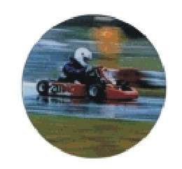 Bauer logotyp barevný LT 009