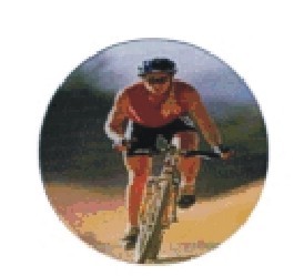 Bauer logotyp barevný LT 014