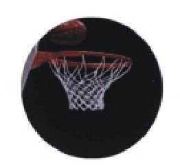 Bauer logotyp barevný LT 028