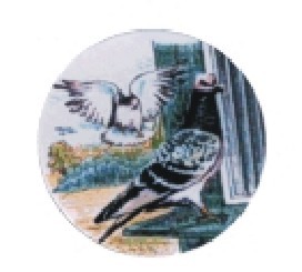 Bauer logotyp barevný LT 038