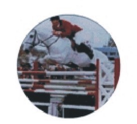 Bauer logotyp barevný LT 041