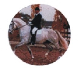 Bauer logotyp barevný LT 042