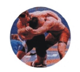 Bauer logotyp barevný LT 046