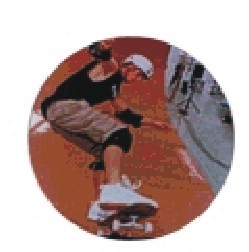 Bauer logotyp barevný LT 048