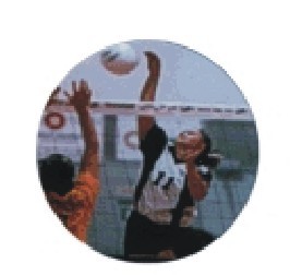 Bauer logotyp barevný LT 051