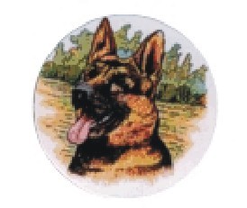 Bauer logotyp barevný LT 054
