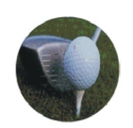 Bauer logotyp barevný LT 059