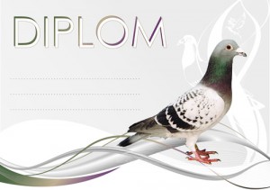 Bauer diplom DP0037 - holub