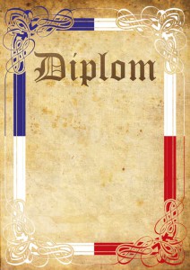 Bauer diplom DP0040
