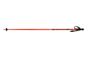 Blizzard sjezdové hole Race, black/orange, pár